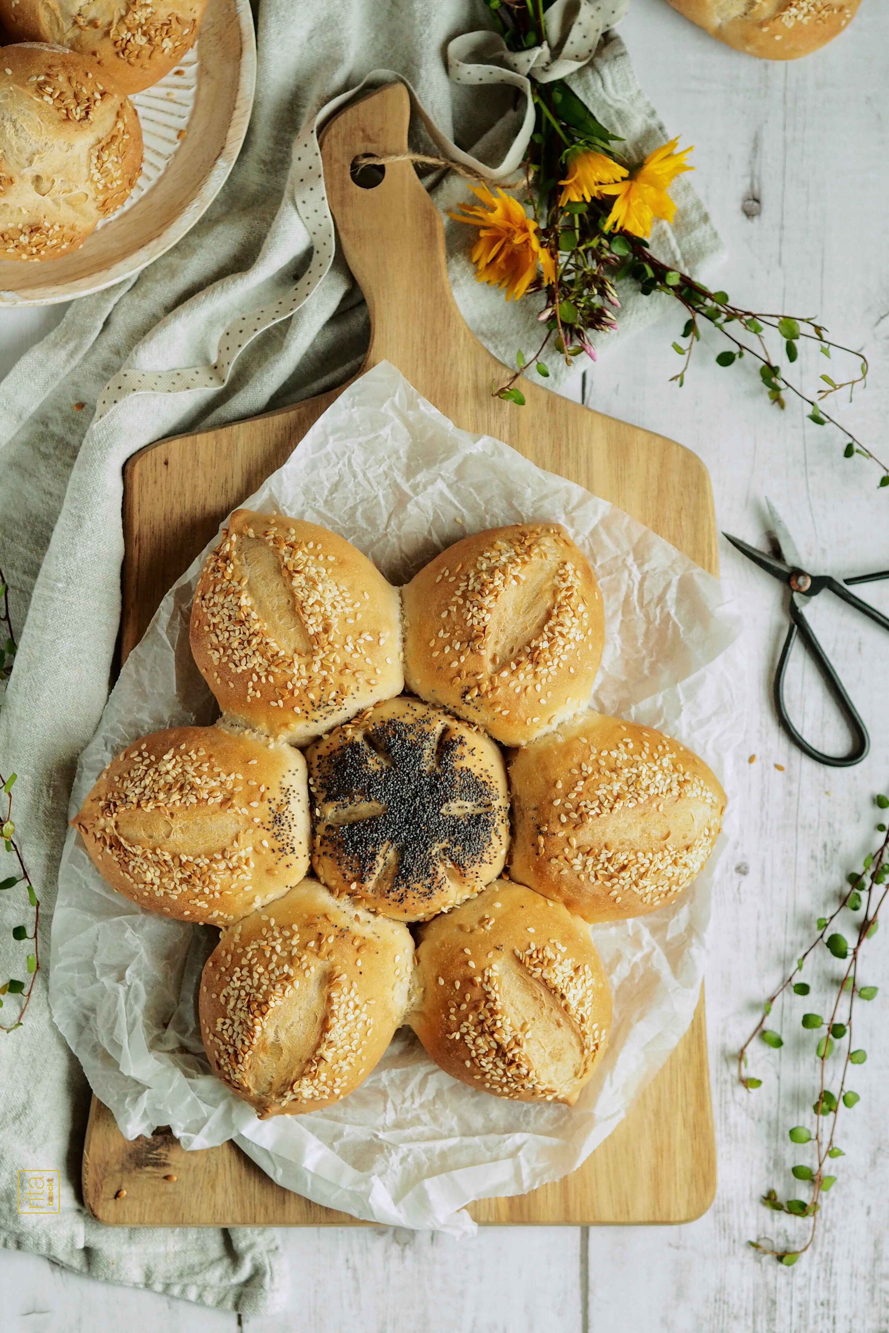 Brotblume